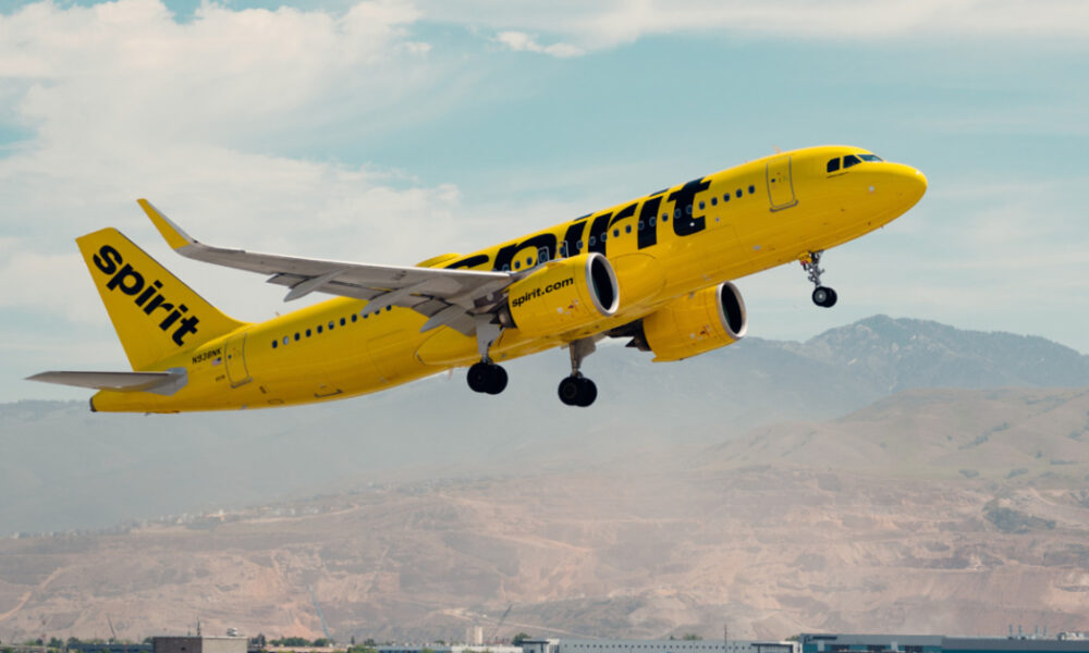 пасажирка Spirit Airlines відмовилася від польотів після шокуючого відео