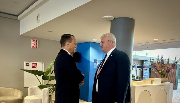 Сибіга та Сікорський обговорили вступ до ЄС та обороноздатність України