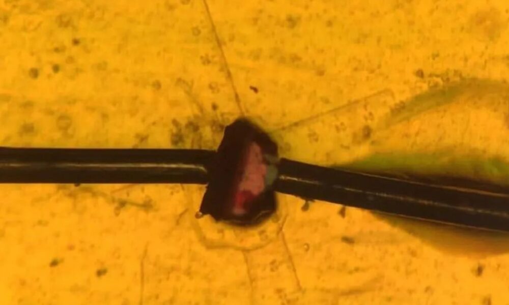 інженери створили новий генератор, який перевершив аналоги