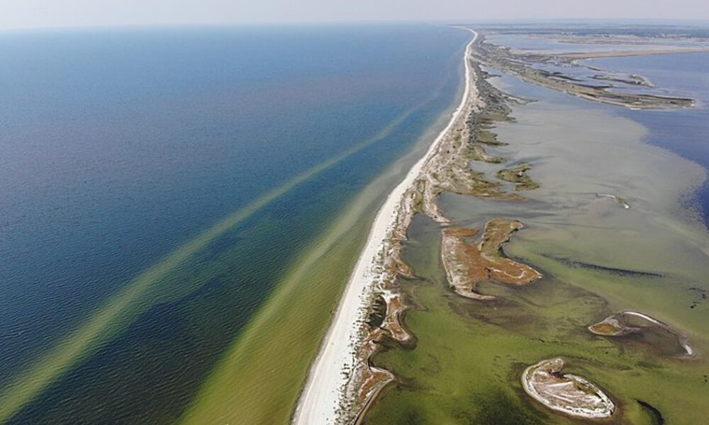 у ВМС розповіли про екологічну шкоду від окупантів — відео