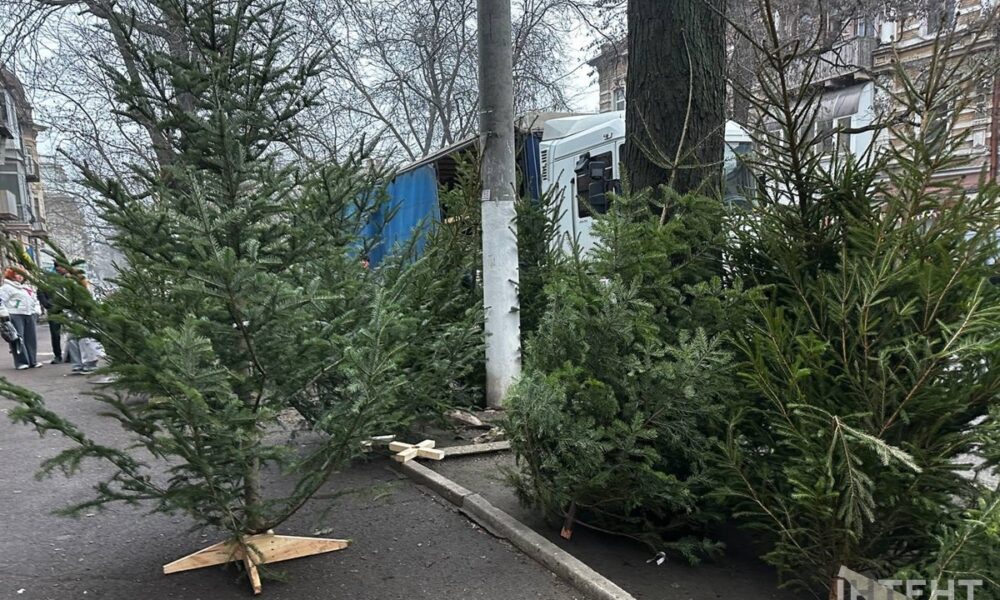 Одеса зазеленіла ялинковими базарами
Анонси