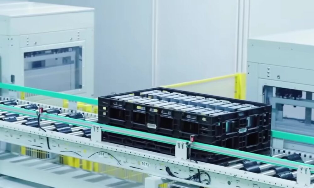 вчені знайшли причину, але не порятунок