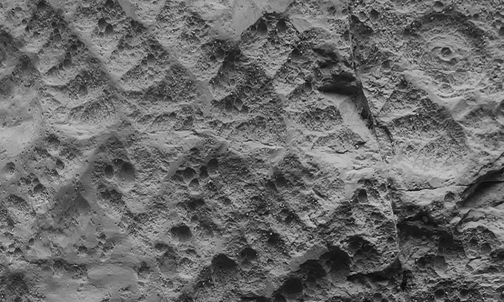 Перше велике вимирання на Землі було гіршим, ніж думали вчені: знайдено нові докази