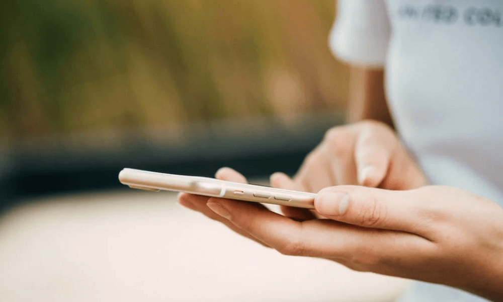 РФ погрожувала угорській громаді на Закарпатті, видаючи себе за українців: СБУ викрила ІПСО