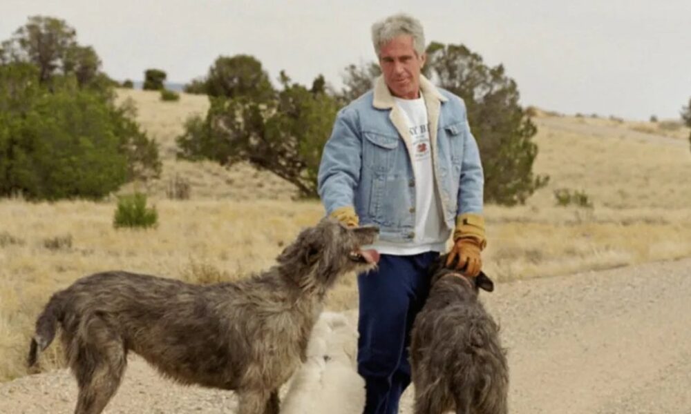 у США проводять обшуки на ранчо Епштейна (відео)