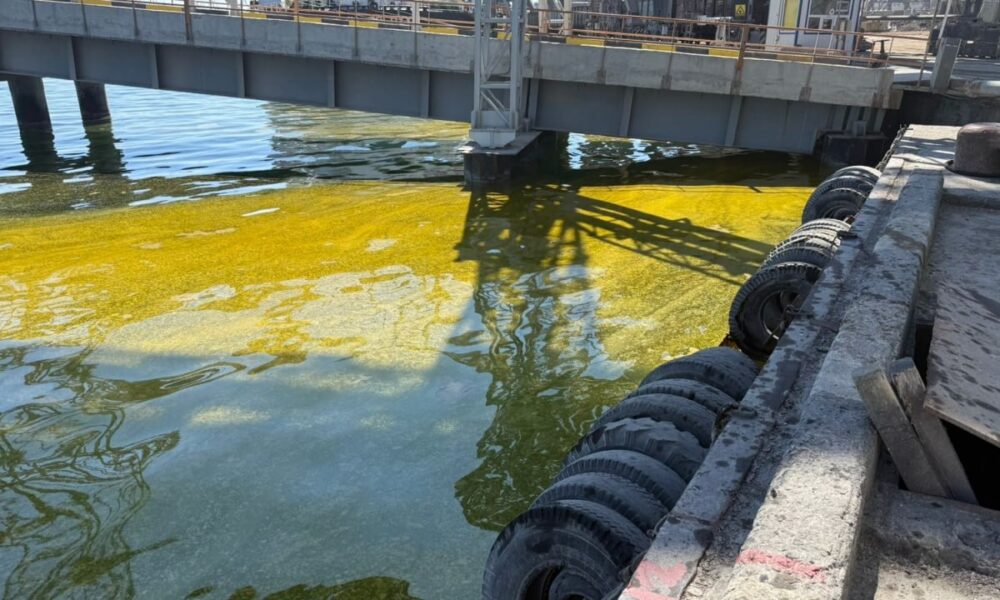 Одеський еколог розповів, хто найбільше постраждає від нового витоку олії в море
Анонси