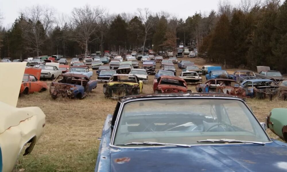Занедбана колекція із десятків ретроавто іржавіє просто неба — відео