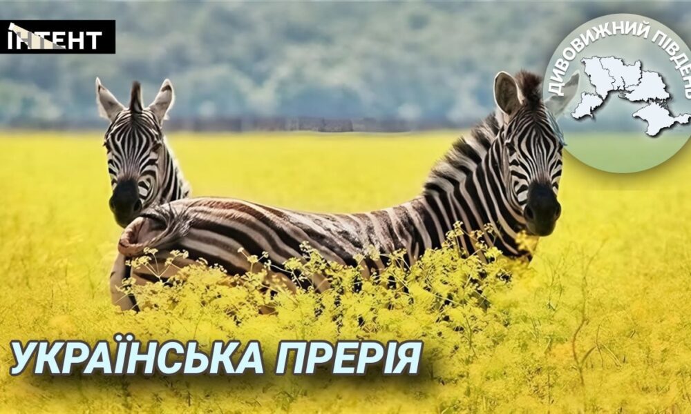 Дивовижний Південь: українська прерія
Анонси