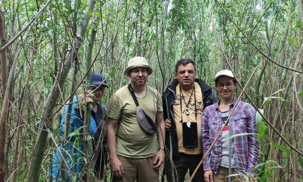 На місці Каховського водосховища виявили рідкісні види рослин
Анонси