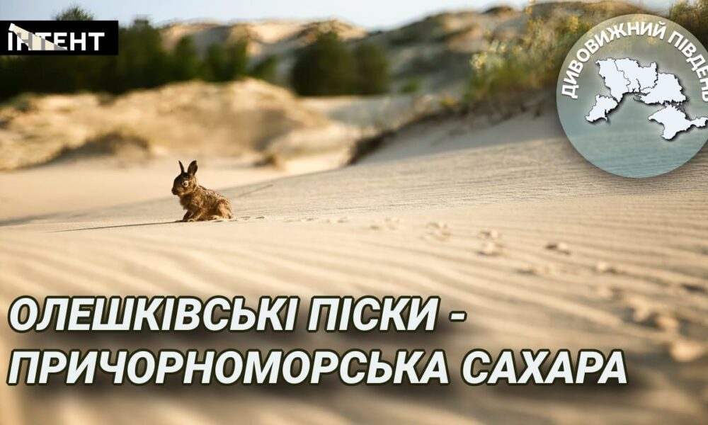 Дивовижний Південь: Олешківські піски - причорноморська Сахара
Анонси