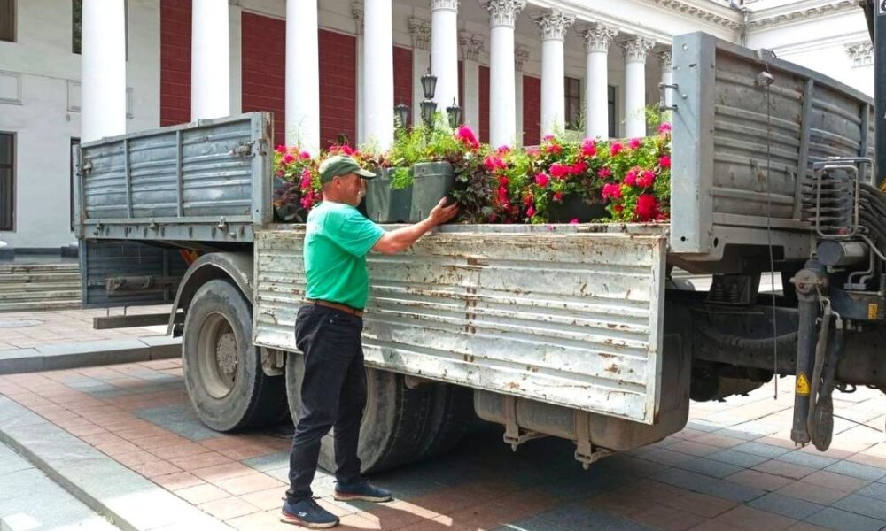 Мільйони на благоустрій, воду та пальне: що купував Міськзелентрест Одеси
Анонси