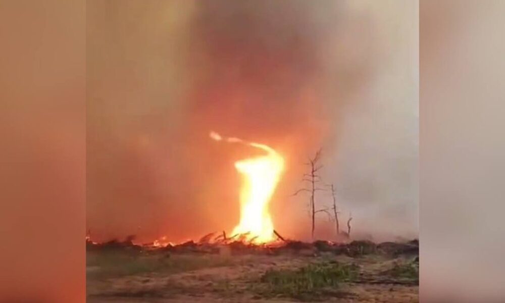 у Чорнобильській зоні зафіксували вогняний смерч (відео)