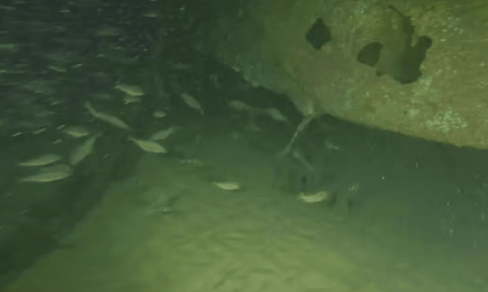 Німецький підводний човен U-672 знайшли через 80 років біля Британії